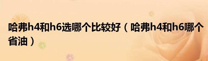 哈弗h4和h6选哪个比较好（哈弗h4和h6哪个省油）