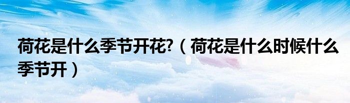 荷花是什么季节开花?（荷花是什么时候什么季节开）