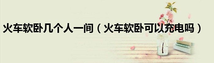 火车软卧几个人一间（火车软卧可以充电吗）