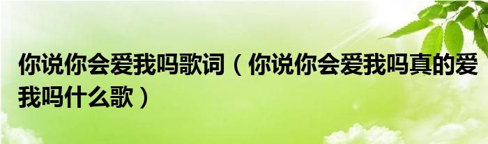 你说你会爱我吗歌词（你说你会爱我吗真的爱我吗什么歌）