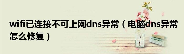 wifi已连接不可上网dns异常（电脑dns异常怎么修复）