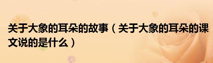 关于大象的耳朵的故事（关于大象的耳朵的课文说的是什么）