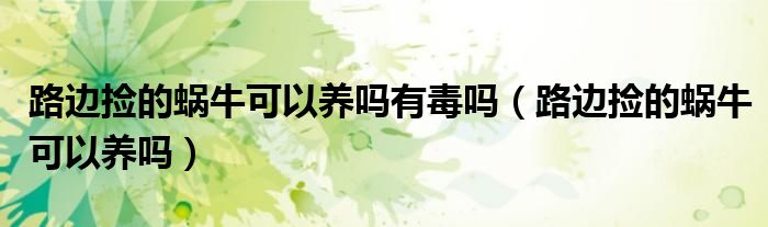 路边捡的蜗牛可以养吗有毒吗（路边捡的蜗牛可以养吗）