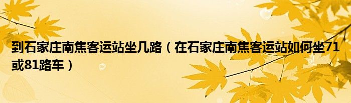到石家庄南焦客运站坐几路（在石家庄南焦客运站如何坐71或81路车）