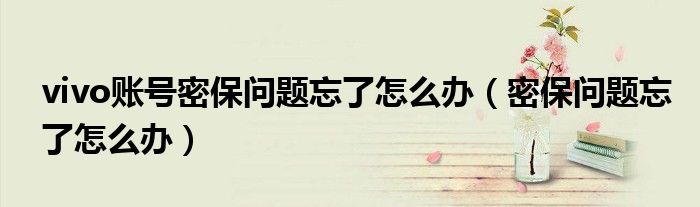 vivo账号密保问题忘了怎么办（密保问题忘了怎么办）