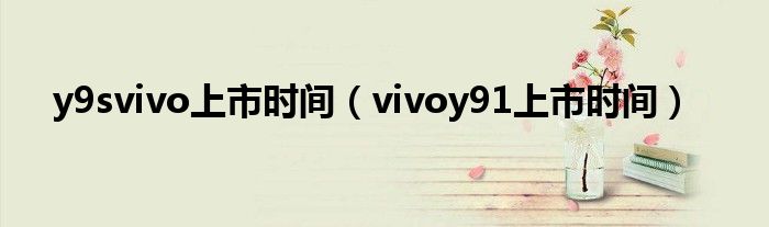 y9svivo上市时间（vivoy91上市时间）