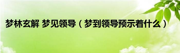 梦林玄解 梦见领导（梦到领导预示着什么）