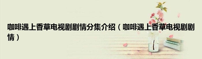 咖啡遇上香草电视剧剧情分集介绍（咖啡遇上香草电视剧剧情）