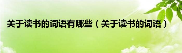 关于读书的词语有哪些（关于读书的词语）