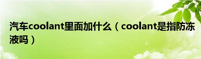 汽车coolant里面加什么（coolant是指防冻液吗）