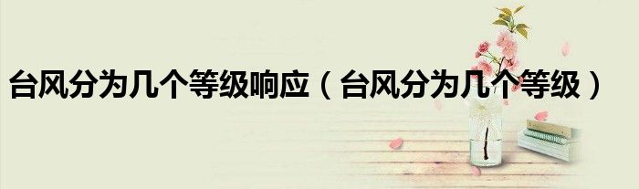 台风分为几个等级响应（台风分为几个等级）