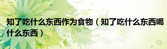 知了吃什么东西作为食物（知了吃什么东西喝什么东西）