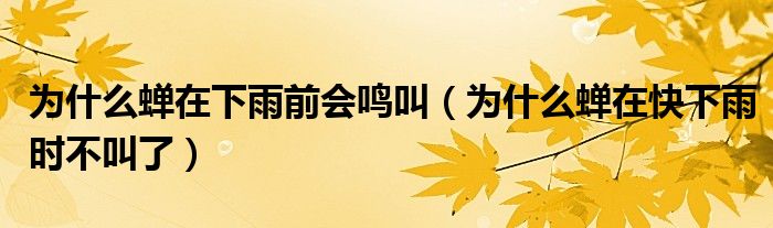 为什么蝉在下雨前会鸣叫（为什么蝉在快下雨时不叫了）