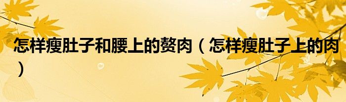 怎样瘦肚子和腰上的赘肉（怎样瘦肚子上的肉）