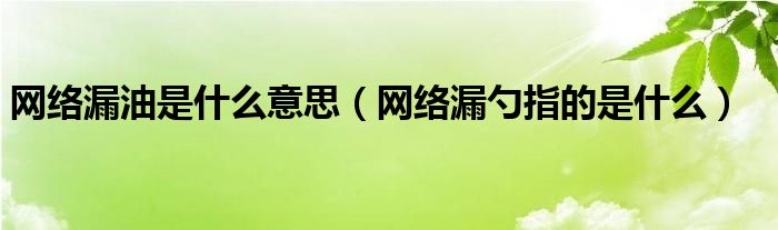 网络漏油是什么意思（网络漏勺指的是什么）