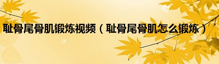 耻骨尾骨肌锻炼视频（耻骨尾骨肌怎么锻炼）