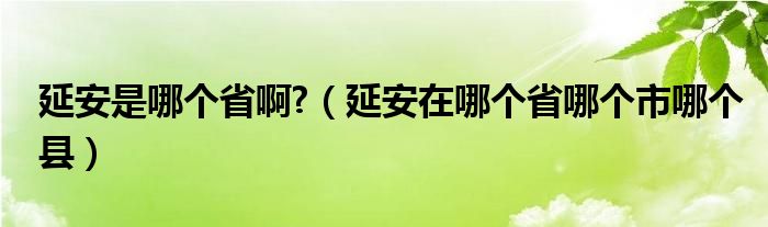 延安是哪个省啊?（延安在哪个省哪个市哪个县）