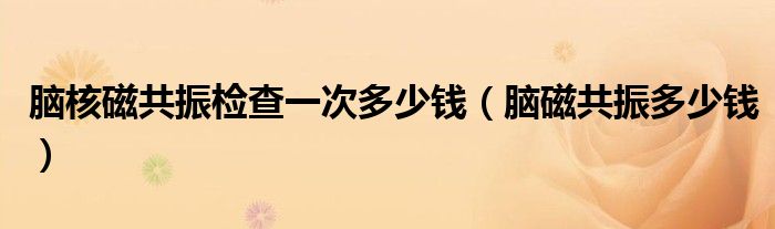 脑核磁共振检查一次多少钱（脑磁共振多少钱）