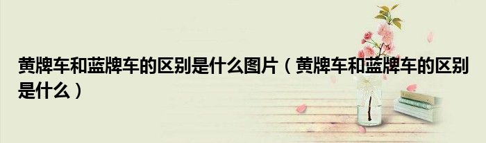 黄牌车和蓝牌车的区别是什么图片（黄牌车和蓝牌车的区别是什么）
