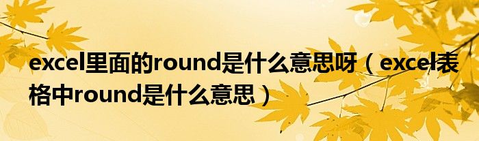 excel里面的round是什么意思呀（excel表格中round是什么意思）