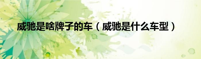 威驰是啥牌子的车（威驰是什么车型）