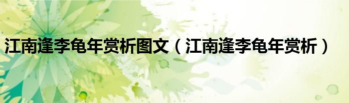 江南逢李龟年赏析图文（江南逢李龟年赏析）