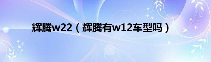 辉腾w22（辉腾有w12车型吗）