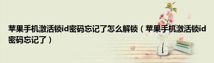苹果手机激活锁id密码忘记了怎么解锁（苹果手机激活锁id密码忘记了）