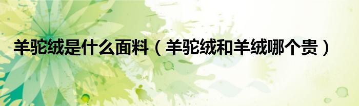 羊驼绒是什么面料（羊驼绒和羊绒哪个贵）