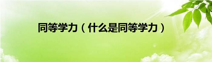 同等学力（什么是同等学力）