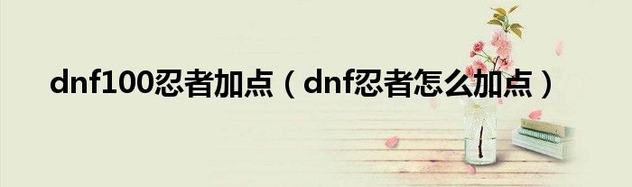 dnf100忍者加点（dnf忍者怎么加点）