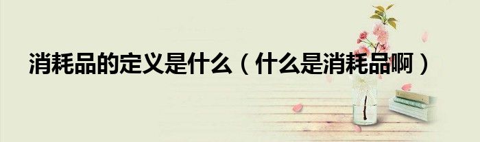 消耗品的定义是什么（什么是消耗品啊）