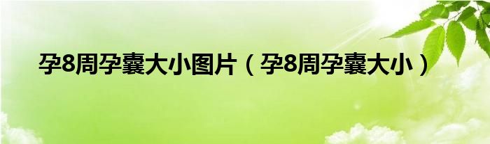孕8周孕囊大小图片（孕8周孕囊大小）