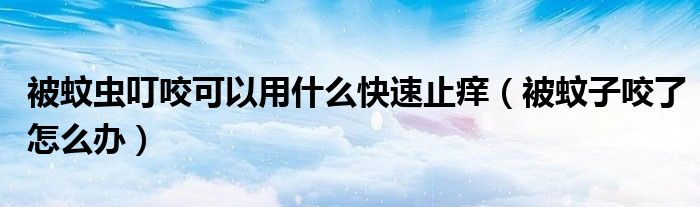 被蚊虫叮咬可以用什么快速止痒（被蚊子咬了怎么办）