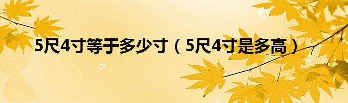 5尺4寸等于多少寸（5尺4寸是多高）