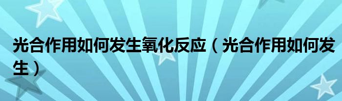 光合作用如何发生氧化反应（光合作用如何发生）