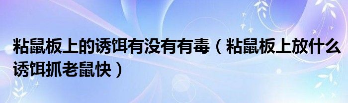 粘鼠板上的诱饵有没有有毒（粘鼠板上放什么诱饵抓老鼠快）