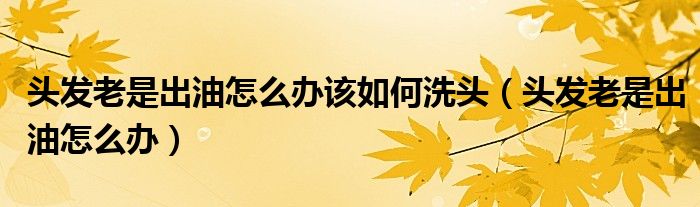 头发老是出油怎么办该如何洗头（头发老是出油怎么办）