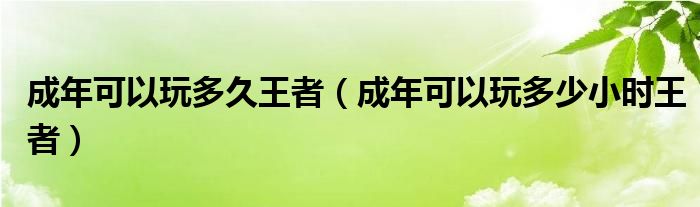成年可以玩多久王者（成年可以玩多少小时王者）