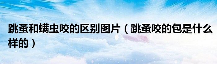 跳蚤和螨虫咬的区别图片（跳蚤咬的包是什么样的）