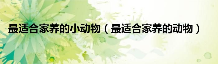 最适合家养的小动物（最适合家养的动物）