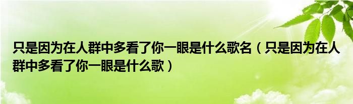 只是因为在人群中多看了你一眼是什么歌名（只是因为在人群中多看了你一眼是什么歌）