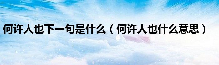 何许人也下一句是什么（何许人也什么意思）