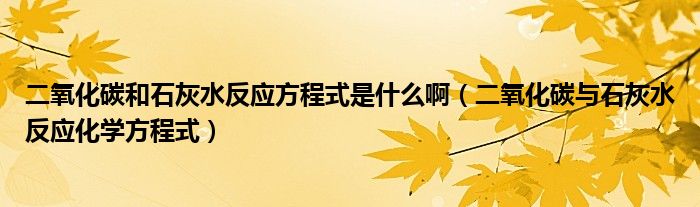 二氧化碳和石灰水反应方程式是什么啊（二氧化碳与石灰水反应化学方程式）