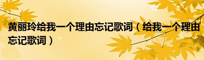 黄丽玲给我一个理由忘记歌词（给我一个理由忘记歌词）