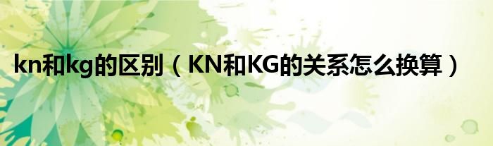 kn和kg的区别（KN和KG的关系怎么换算）