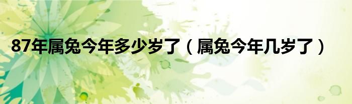 87年属兔今年多少岁了（属兔今年几岁了）