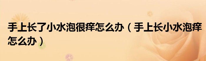 手上长了小水泡很痒怎么办（手上长小水泡痒怎么办）