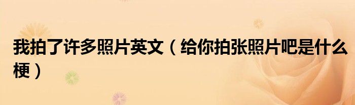 我拍了许多照片英文（给你拍张照片吧是什么梗）