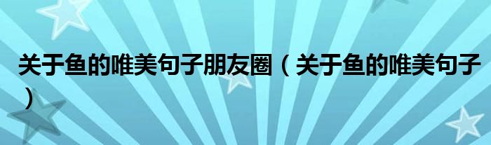 关于鱼的唯美句子朋友圈（关于鱼的唯美句子）
